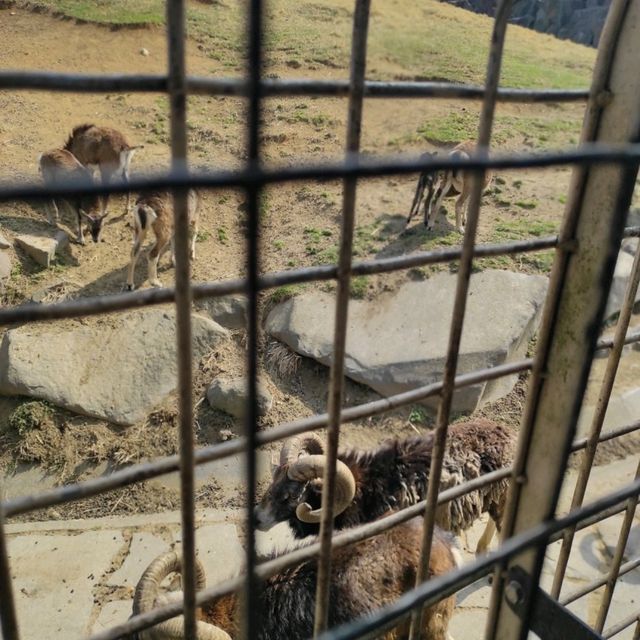 人生必到 野生動物餵食體驗