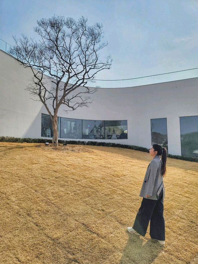 3월초 오픈한 역대급 통창뷰 청도 신상카페🌳☕️