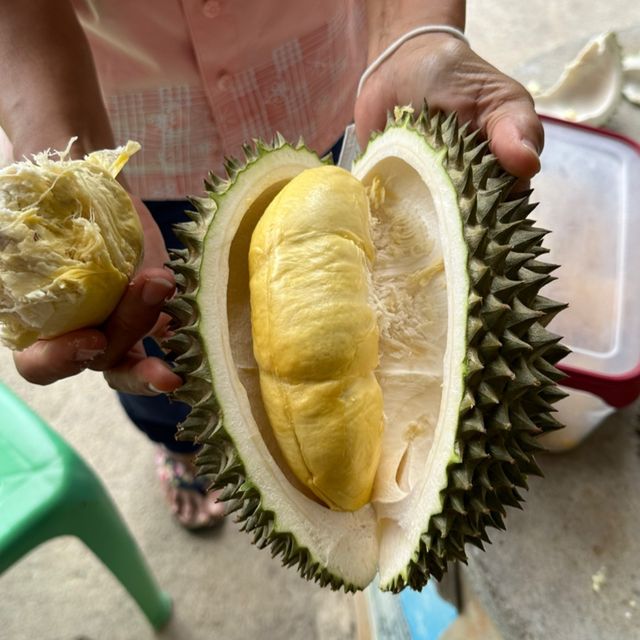 Eat a lot of Durian @ Durian land, Chantaburi