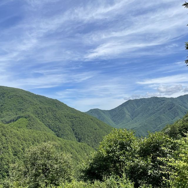 산속의 오두막🏡 요정의집을 소개합니다