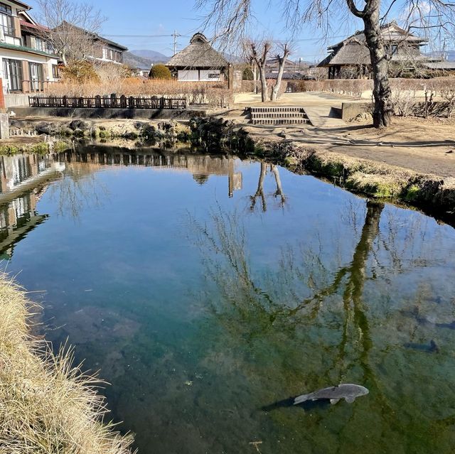 のどかな風景の菖蒲池