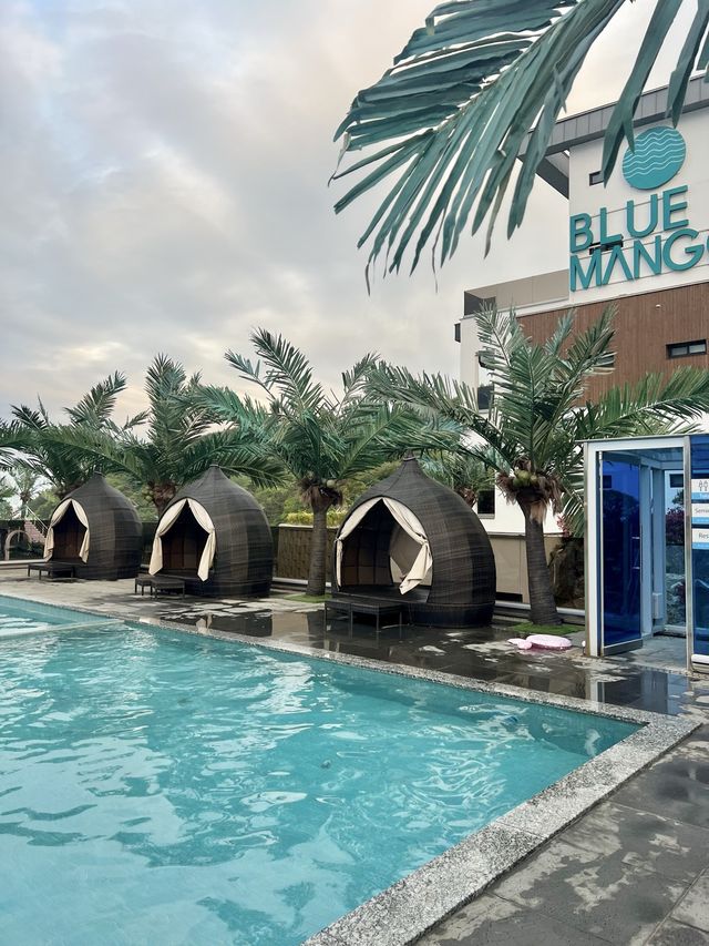 사계절 내내 여수바다를 보며 인피니티풀장에서 헤엄칠 수 있는 곳🏊🩵