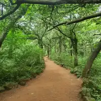 ✈️ 모든걸 훌훌 털어버리고 제주여행! 나만알고싶은 시크릿명소💋