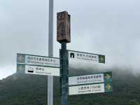 香港遊 | 大嶼山 | 寶蓮禪寺 | 香港荷花節 (上)