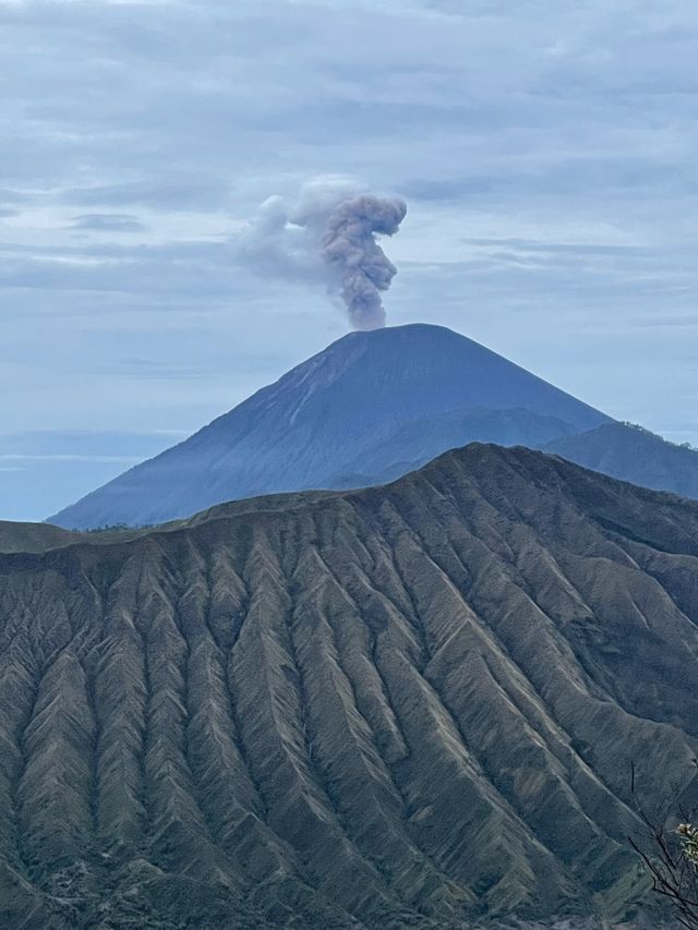 📍印尼背包客之旅 -《婆羅摩火山攻略》