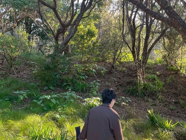뉴질랜드 : Music과 함께하는 Musick 포인트
