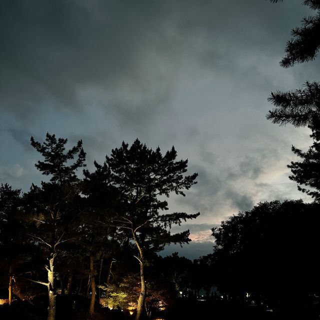 美麗的夜景 - 慶州雁鴨池