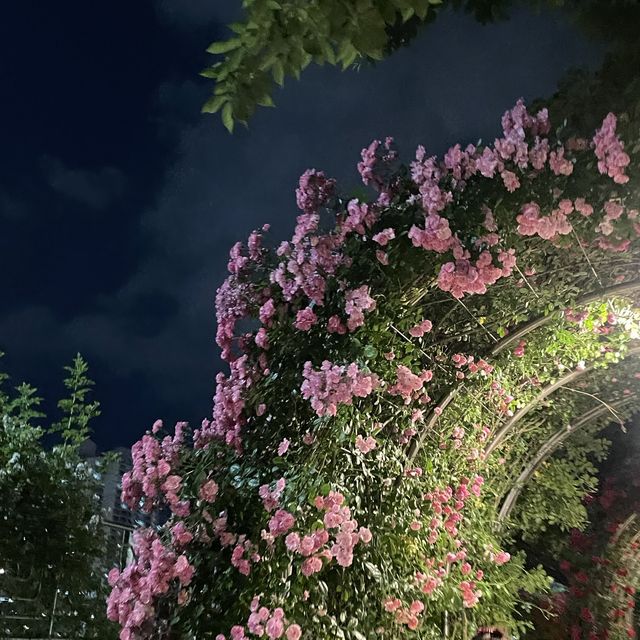 백만송이의 장미를 볼 수 있는 곳 “서울장미길”🥀