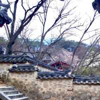 World Heritage Bulguksa Temple 