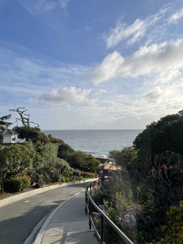 🇺🇸예술가들이 모여사는 캘리포니아의 인기 해변!“라구나비치 Laguna Beach” 