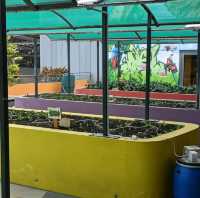 Rooftop Community Garden 