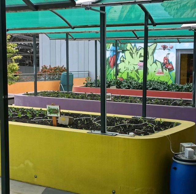 Rooftop Community Garden 