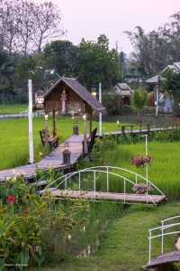 ที่เที่ยวสันป่าตอง แวะเติมพลัง