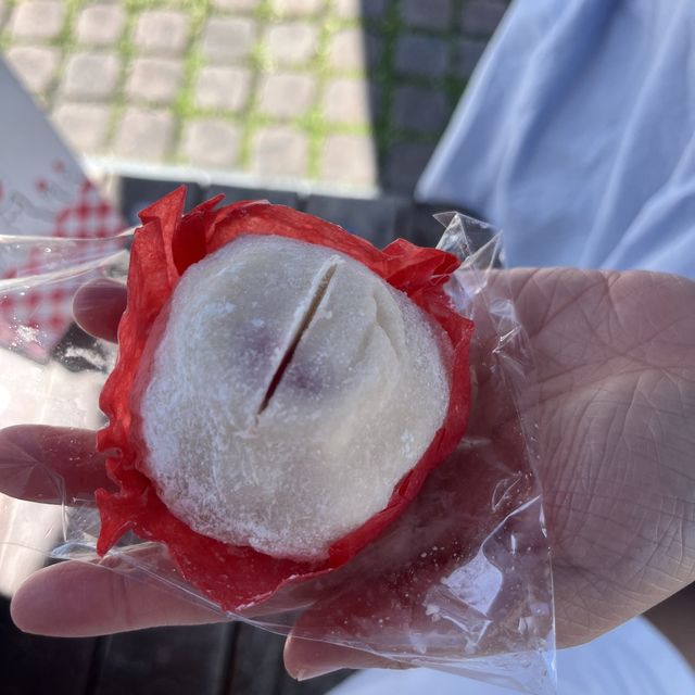 3대 여수 딸기모찌🍓 기모찌😊