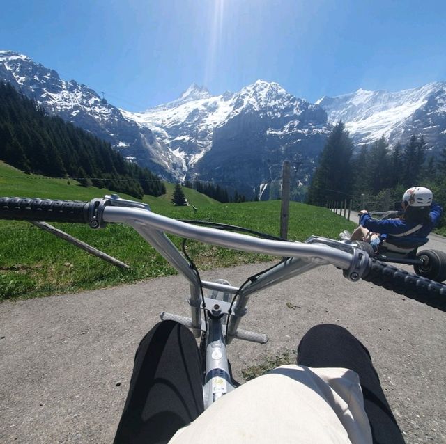 비현실적 풍경을 보며 타는 카트 🛴