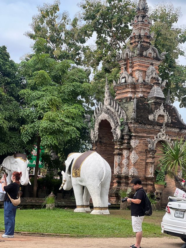 ตามรอยละครกลิ่นกาสะลองที่วัดโลกโมฬี 