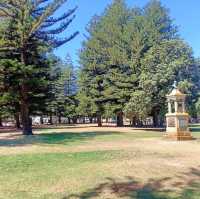 Esplanade Park Fremantle : Great for kids! 