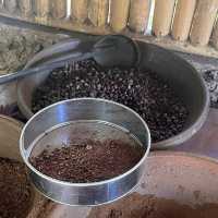 발리에서 루왁 커피를 마시고 싶다면 satria coffee plantation