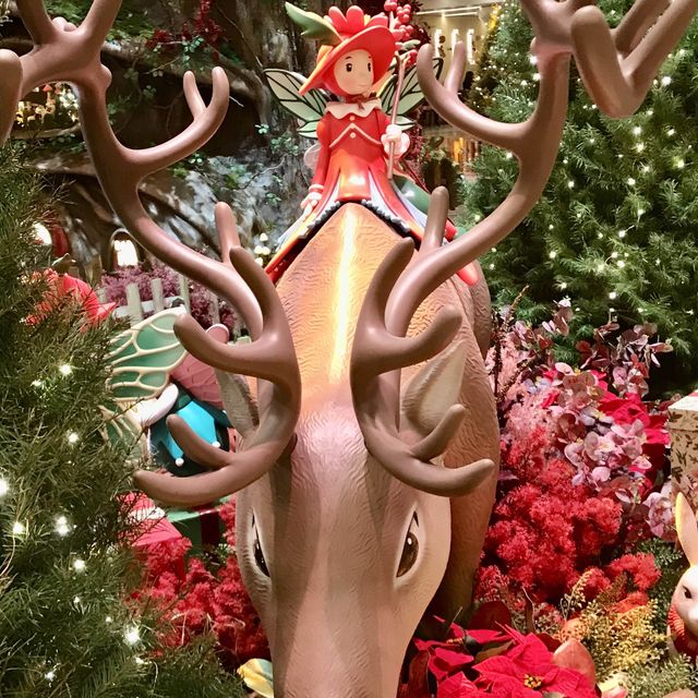 Christmas is Coming to Town