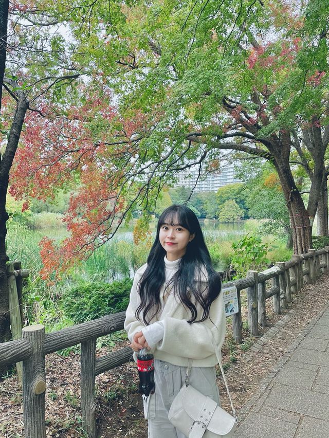 키치죠지 이노카시라 공원