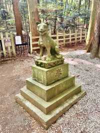 【長瀞強力パワースポット】宝登山神社奥宮