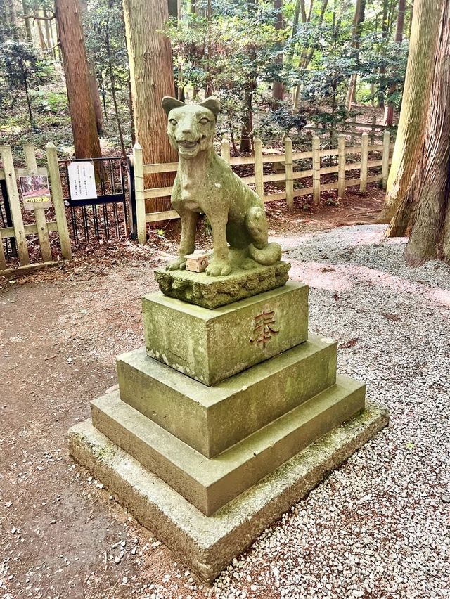 【長瀞強力パワースポット】宝登山神社奥宮