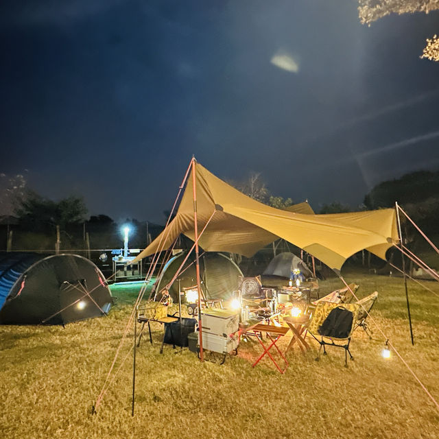 卓蘭山林野地露營區