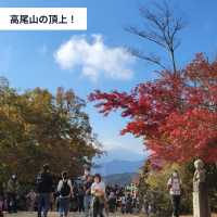 【11中旬〜12上旬が見ごろ！🍁秋の高尾山で紅葉ハイキング】