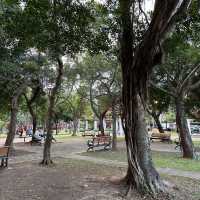 台灣｜台北 超大廣場！民生公園好好玩