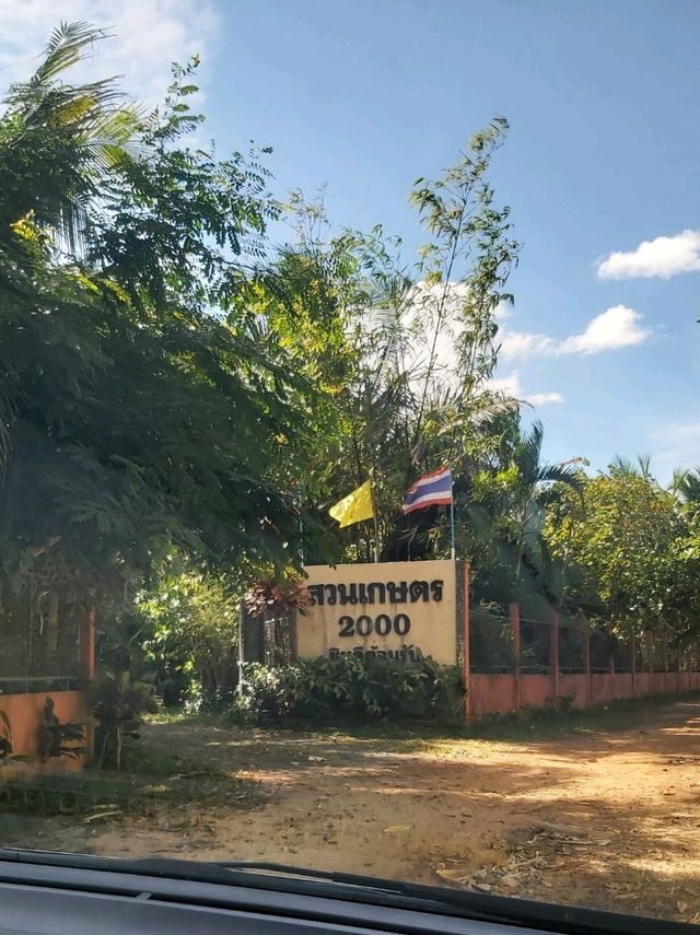 Cafe and Garden สวนเกษตร2000