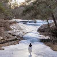 ❄️더 특별한 겨울모습의 안동을 만날 수 있는곳 [안동, 만휴정] ❄️