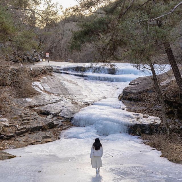❄️더 특별한 겨울모습의 안동을 만날 수 있는곳 [안동, 만휴정] ❄️