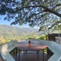 The Giant Chiangmai