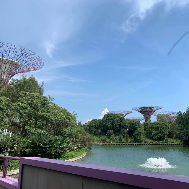 Gardens by the Bay