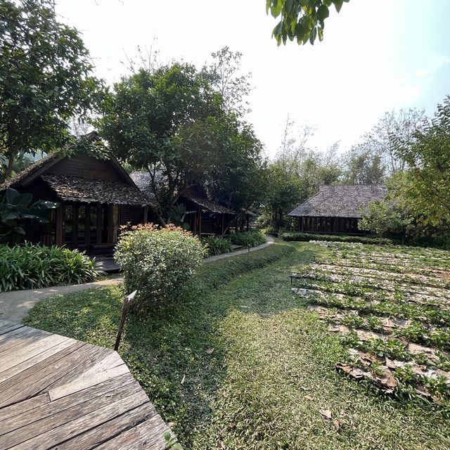 Azalea Village Resort 