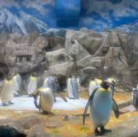 海洋公園：南極奇觀