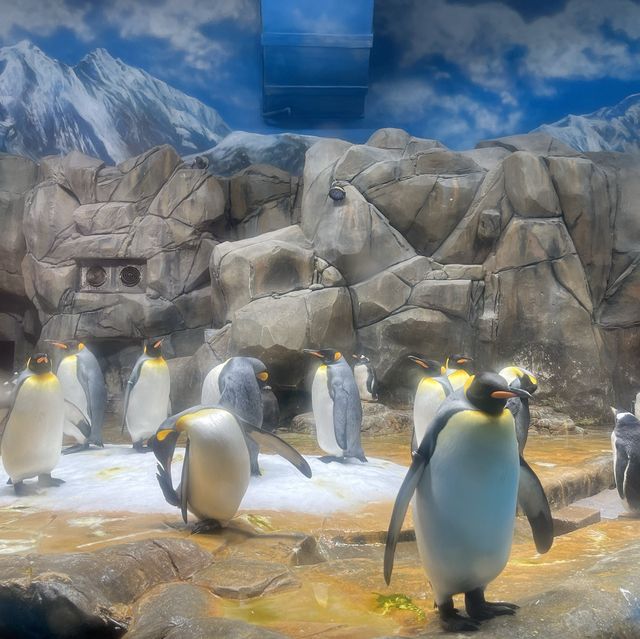 海洋公園：南極奇觀