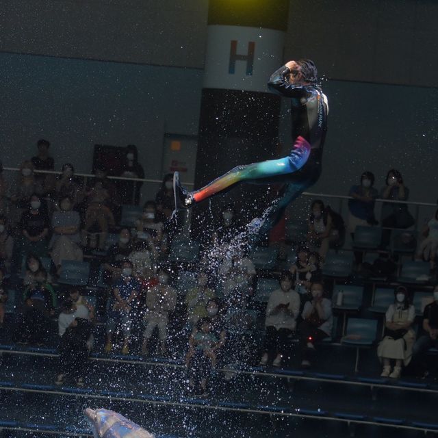 マクセル アクアパーク品川〜日本トップクラス水族館〜 マクセル アクアパーク品川〜日本トップクラス水族館〜
