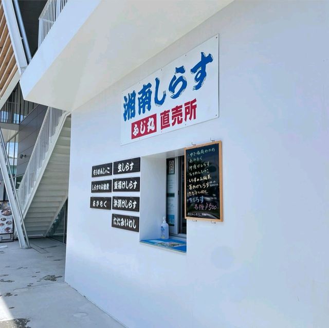【神奈川県/大磯町】大磯港