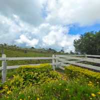 The joyful Desa Dairy Farm!