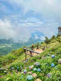 ยอดดอยม่อนแจ่ม coffee ⛰️☕️🪻🌿