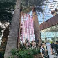 The Flower Dome @ Gardens By The Bay