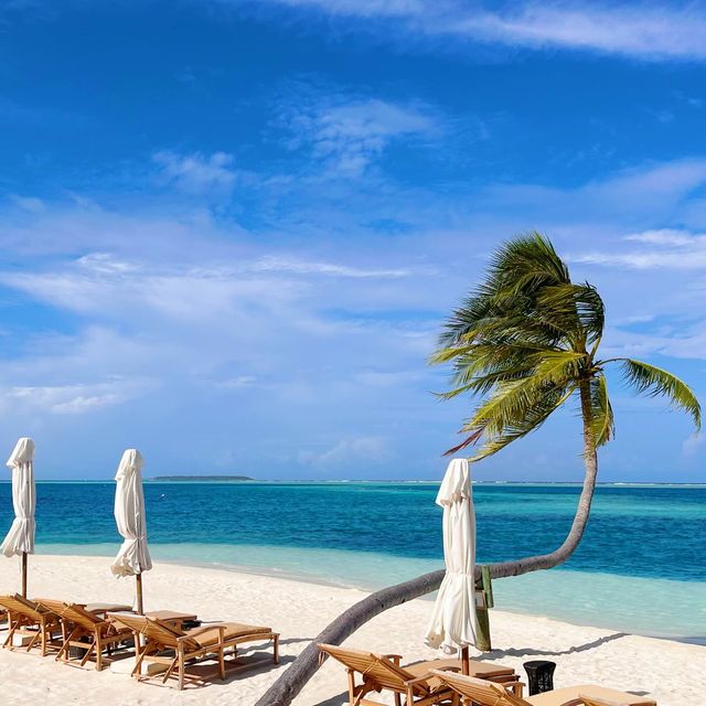 Awesome stay of Conrad Maldives 