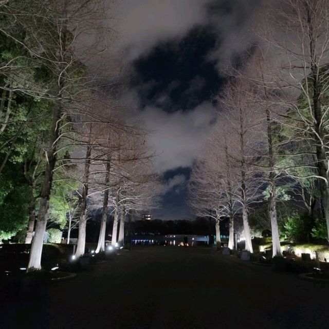 燈光與大自然的奇妙結合🌌🎡