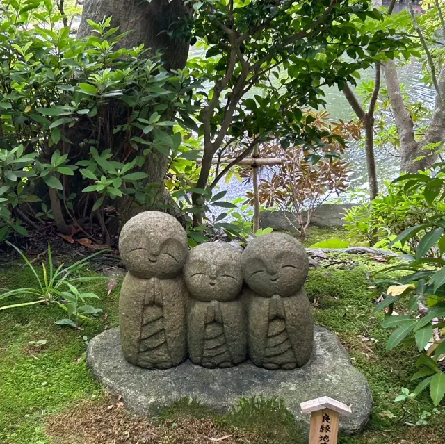 【 神奈川 / 鎌倉 】一回では見切れないほどの花の寺🌸
