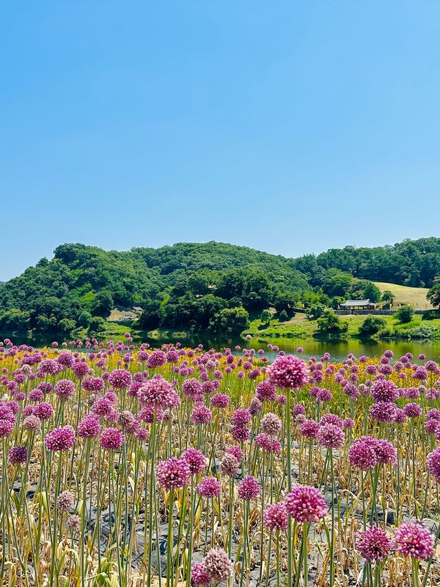 동화속 주인공이 될 수 있는 몽환적인 세상💜