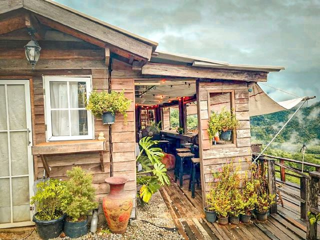 Magic Mountain Cafe ⛰️ ผาช้างน้อย พะเยา ⛰️