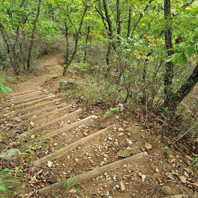 두근두근여름휴가 대전 식장산 정상