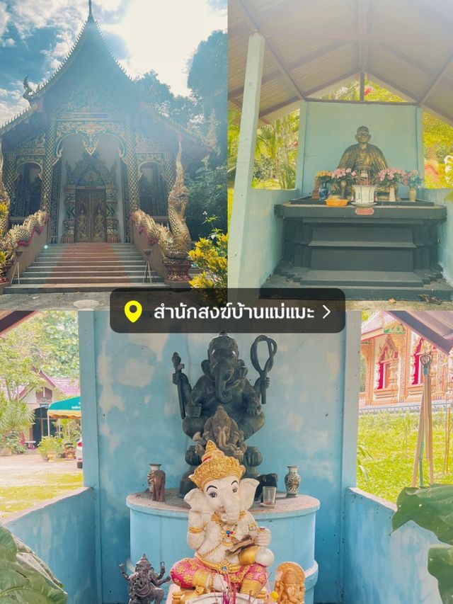 ทริปหน้าฝน Slowlife ม่อนแจ่ม 1 คืน 2 วัน🌧️✨