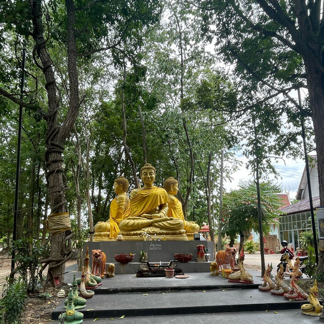 วัดสันห้างเสือ